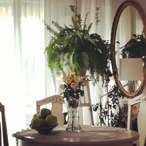 Stan, Novi Sad (Marija Vrebalov Djordjević)